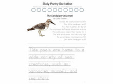 Load image into Gallery viewer, Gentle + Classical Nature Volume 2 Bundle (Digital or Print)