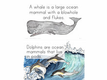 Load image into Gallery viewer, Gentle + Classical Nature Volume 2 Bundle (Digital or Print)