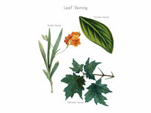 Load image into Gallery viewer, Nature Collection Notebook (2nd Edition)