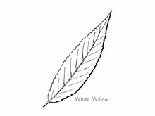 Load image into Gallery viewer, Nature Collection Notebook (2nd Edition)