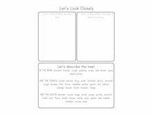 Load image into Gallery viewer, Nature Collection Notebook (2nd Edition)