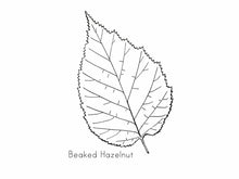 Load image into Gallery viewer, Nature Collection Notebook (2nd Edition)
