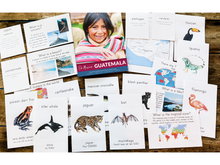 Load image into Gallery viewer, Year 1 On Mission: India, Ireland, Guatemala, and Nigeria