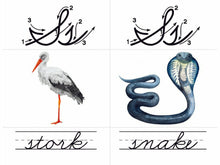 Load image into Gallery viewer, ABC Watercolor Flashcard Set (2 Options)(DIGITAL)