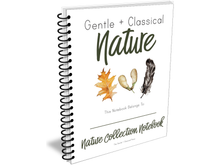 Load image into Gallery viewer, Nature Collection Notebook (2nd Edition)