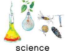 Load image into Gallery viewer, Visual Schedule Cards + MY DAY Planner (DIGITAL)