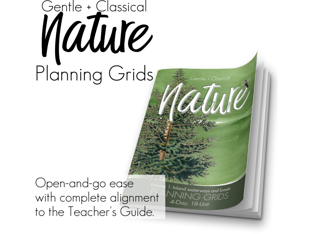 Nature Vol 1 Planning Grids