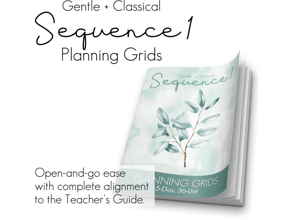 Sequence 1 Planning Grids