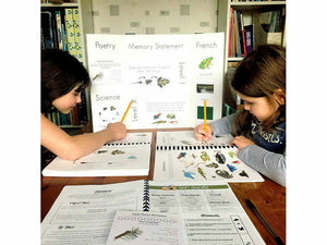 Kindergarten Bundle (Primer, Nature, Optional On Mission)
