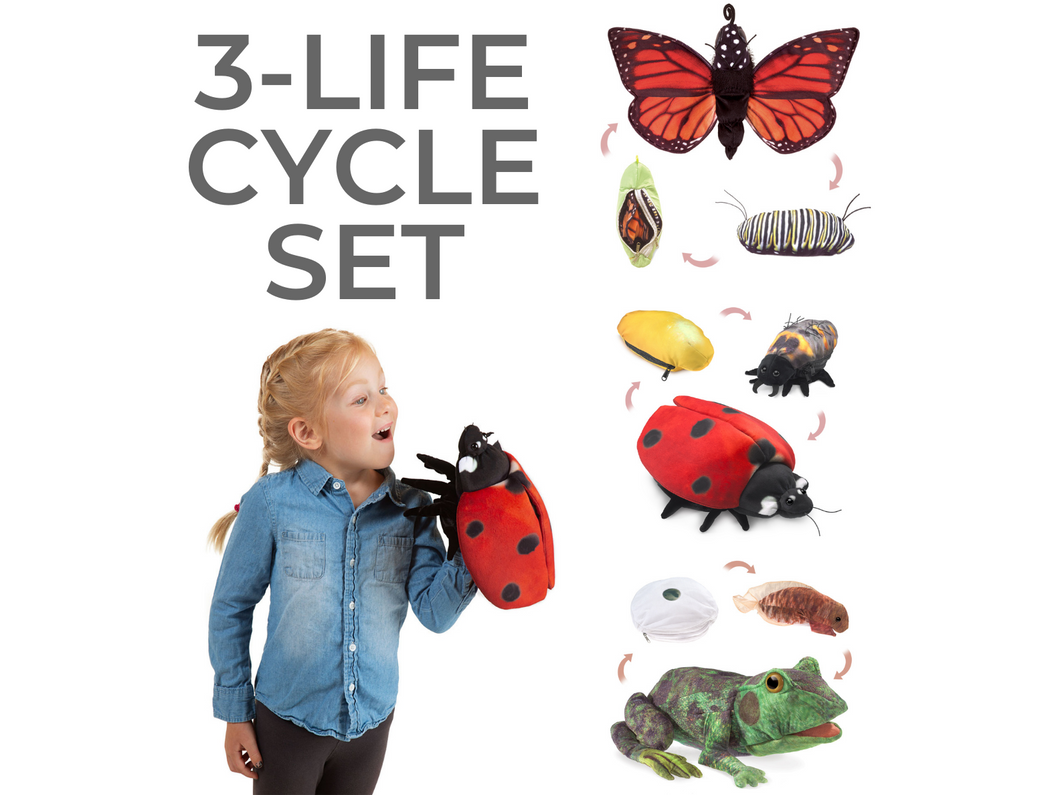 3-Life Cycle SET (Frog, Monarch, Ladybug)