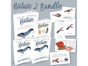Kindergarten Bundle (Primer, Nature Volume 2, Optional On Mission)