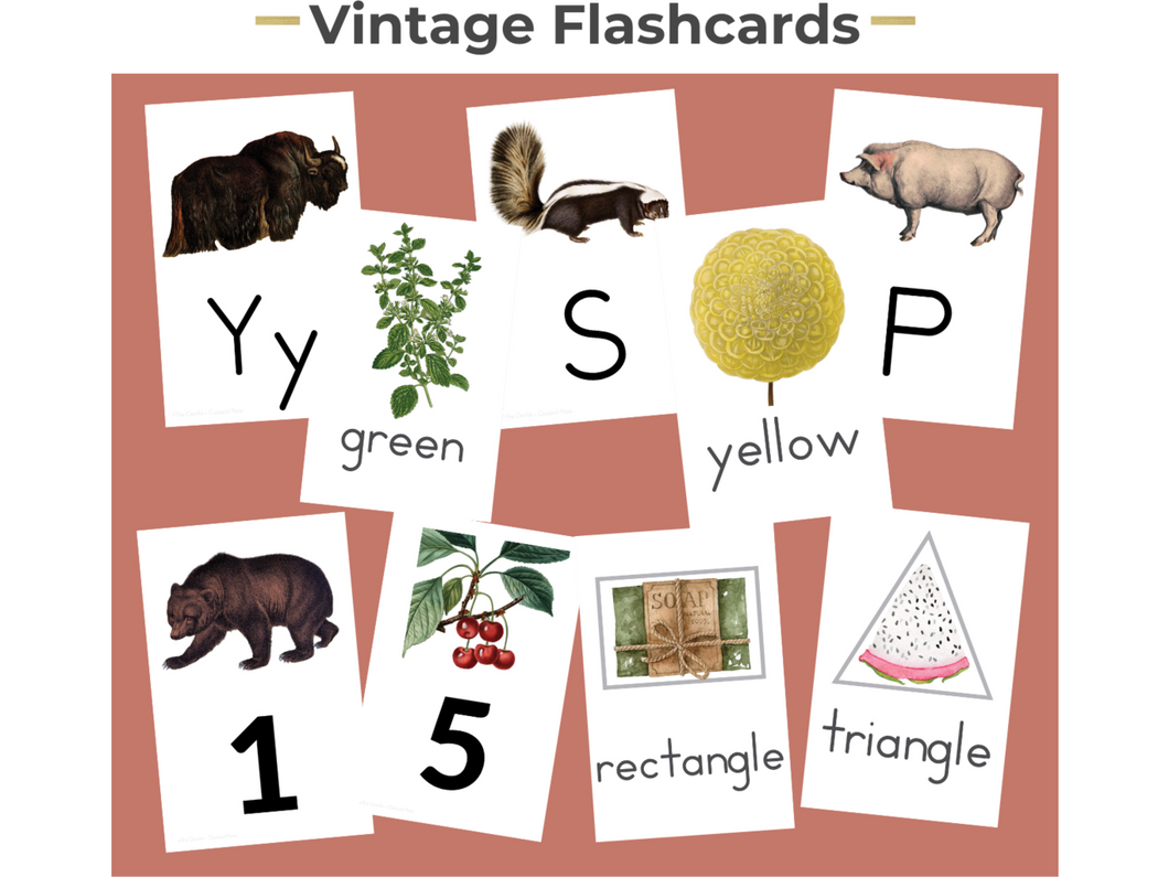 Vintage Flashcards (DIGITAL)