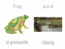 Load image into Gallery viewer, French + English Nature Flashcards (DIGITAL)
