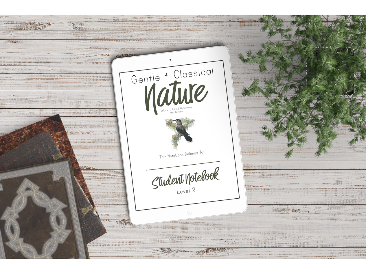 Level 2 Student Notebook (Gentle + Classical Nature)
