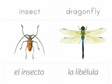 Load image into Gallery viewer, Spanish + English Nature Flashcards (DIGITAL)
