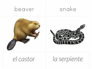 Spanish + English Nature Flashcards (DIGITAL)