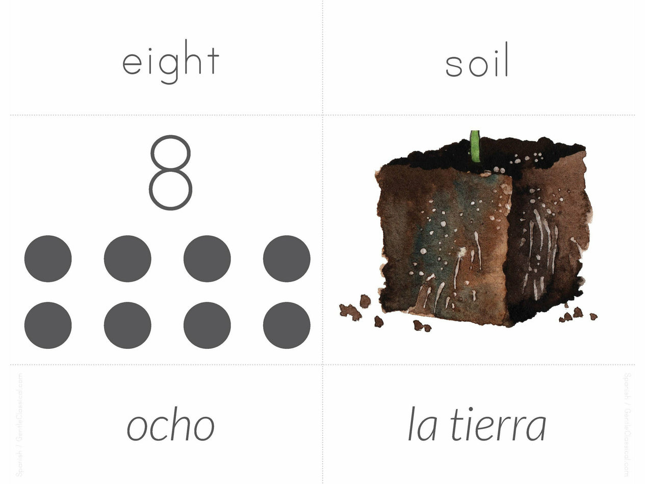 Spanish + English Nature Flashcards (DIGITAL)