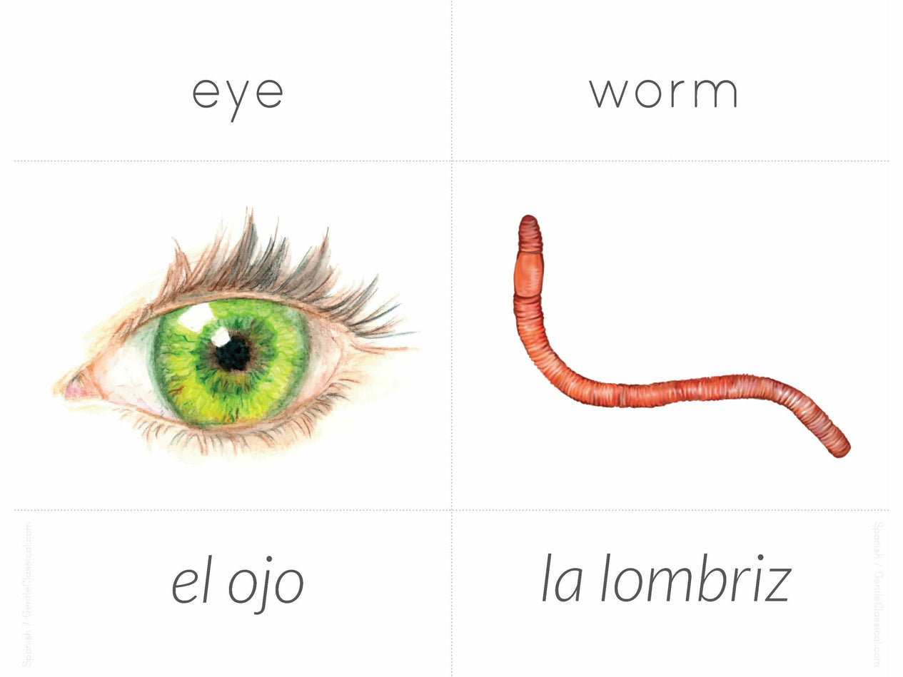 Spanish + English Nature Flashcards (DIGITAL)