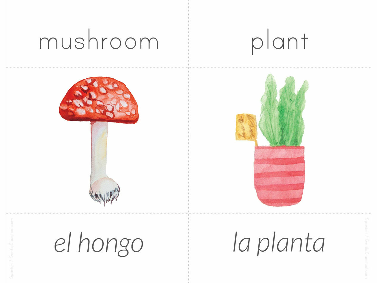 Spanish + English Nature Flashcards (DIGITAL)