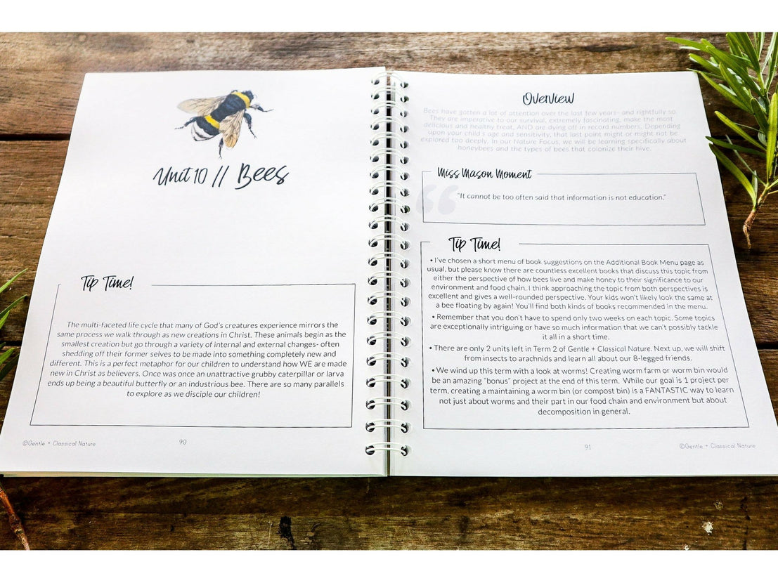 Level 1 Student Notebook (Gentle + Classical Nature) – The Gentle