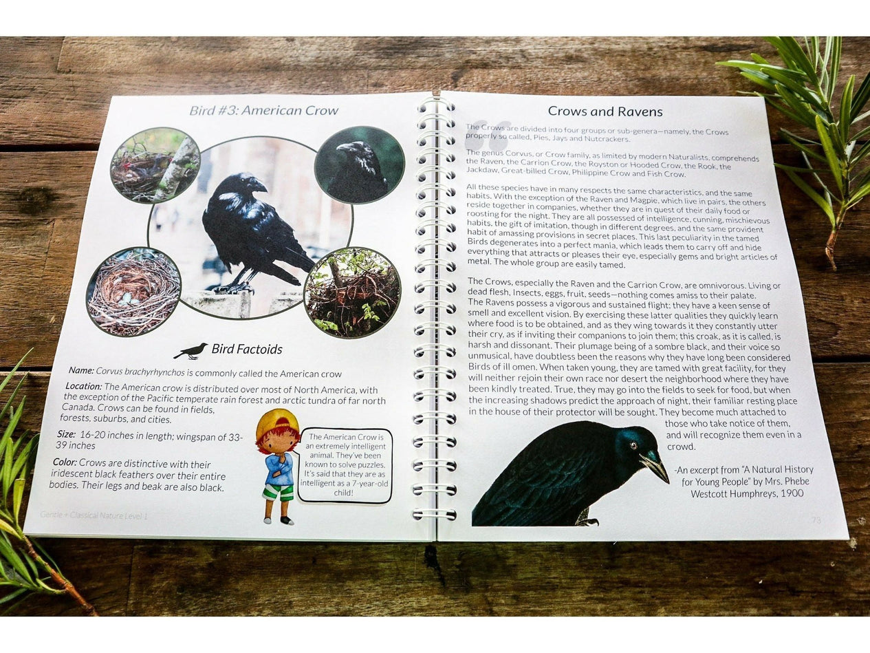 Level 2 Student Notebook (Gentle + Classical Nature)