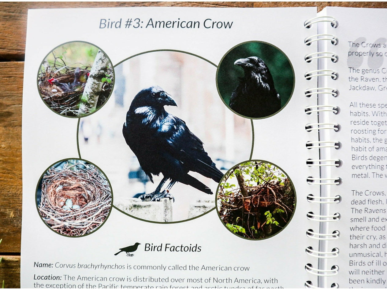 Level 2 Student Notebook (Gentle + Classical Nature)