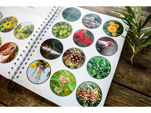 Level 2 Student Notebook (Gentle + Classical Nature)