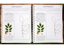 Load image into Gallery viewer, Gentle + Classical Nature Volume 1 Bundle (Digital or Print)
