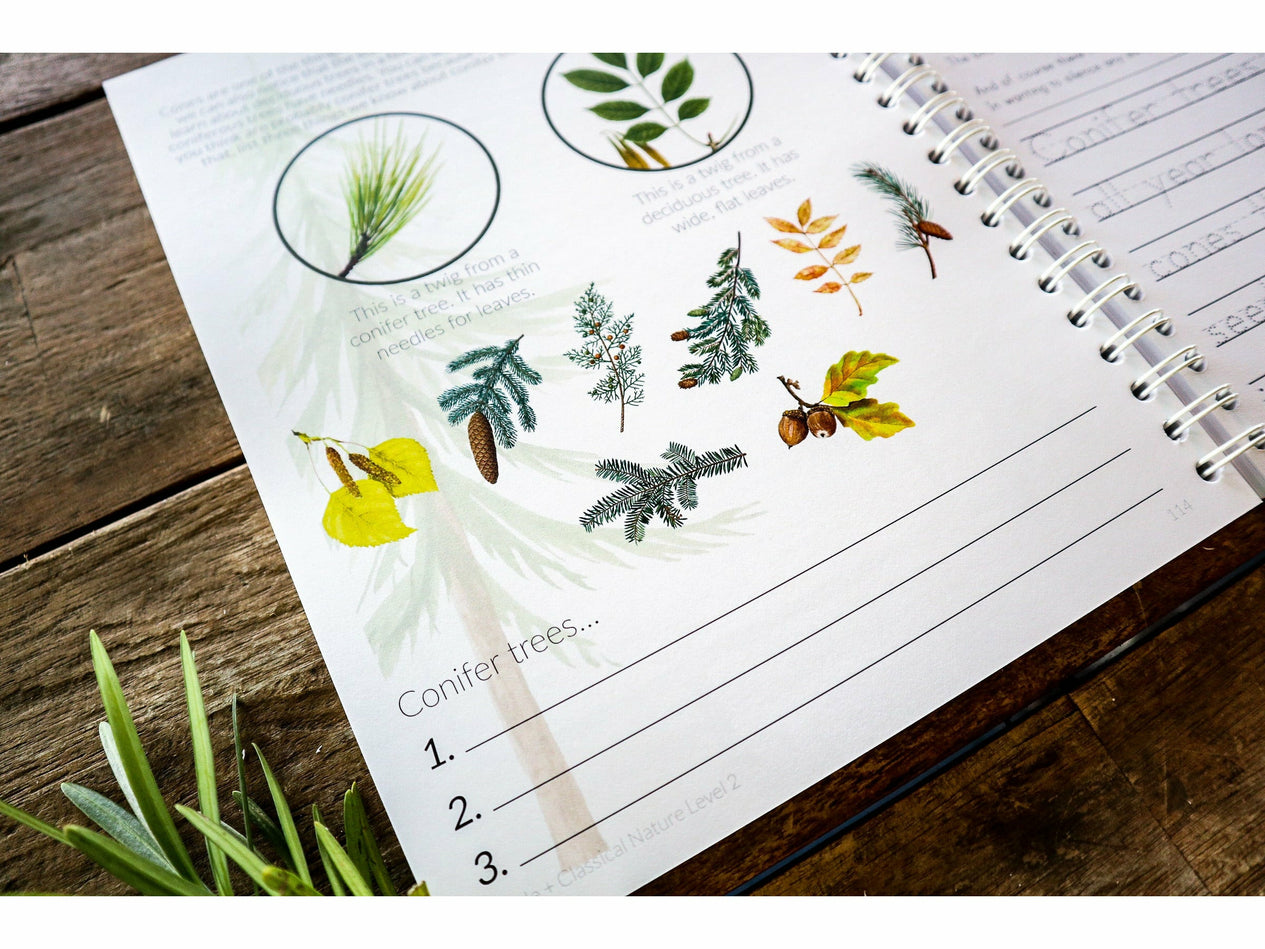 Level 2 Student Notebook (Gentle + Classical Nature)