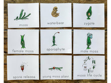 Load image into Gallery viewer, Nature 3-Part Montessori Cards (DIGITAL)

