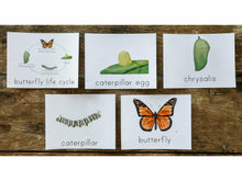 Load image into Gallery viewer, Nature 3-Part Montessori Cards (DIGITAL)
