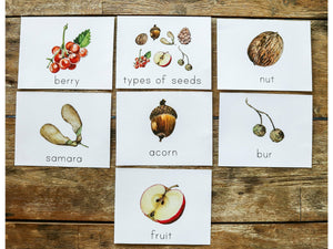 Nature 3-Part Montessori Cards (DIGITAL)