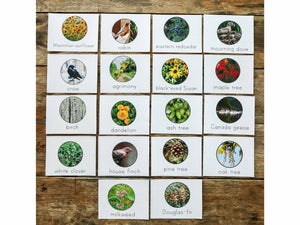 Nature 3-Part Montessori Cards (DIGITAL)