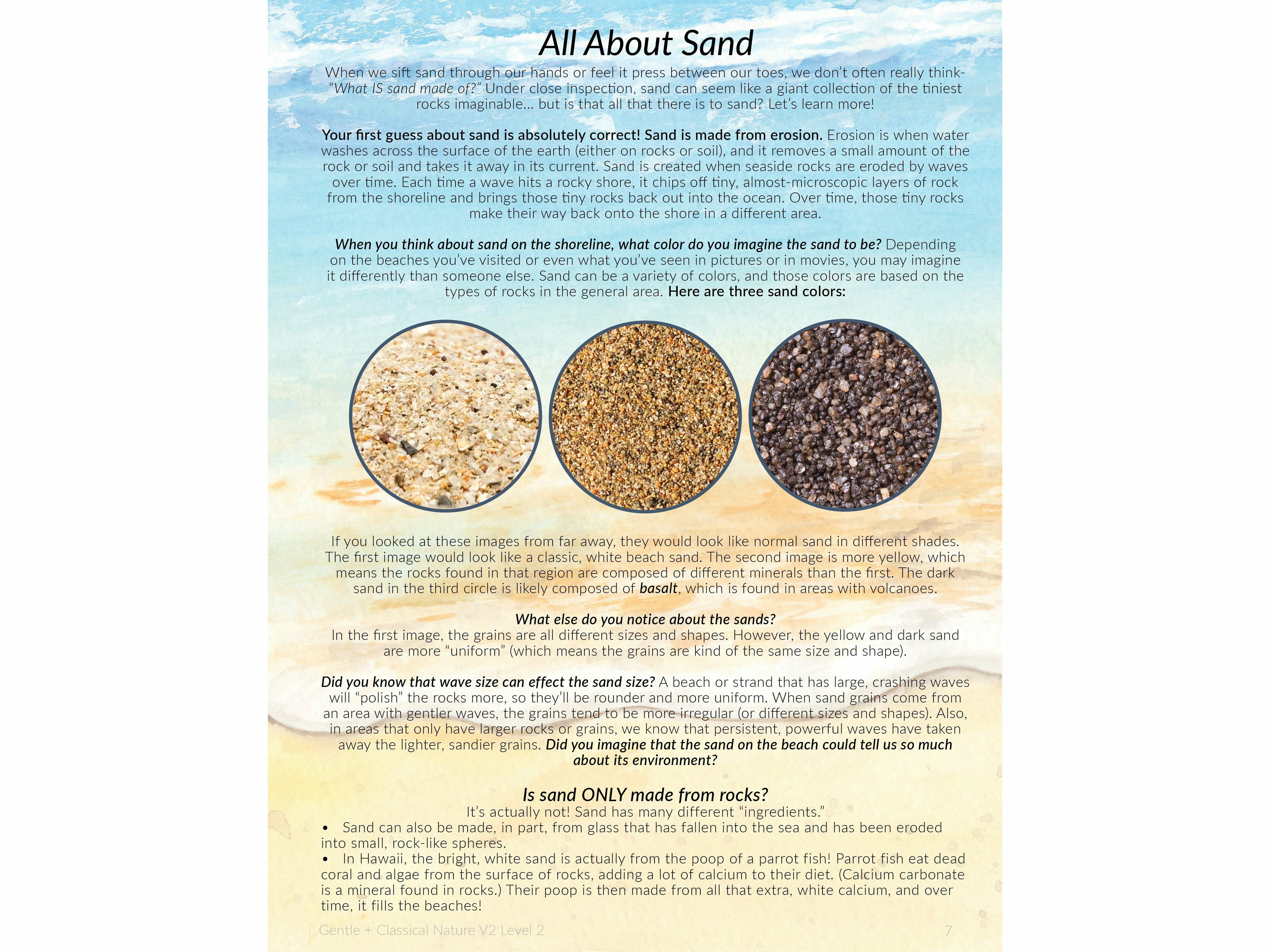 There's more to sand than you think: Here's how it differs along