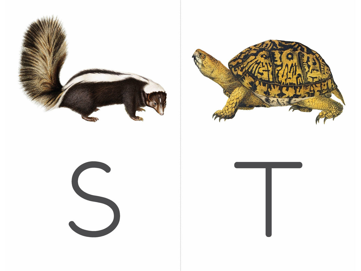 Vintage Flashcards (DIGITAL)